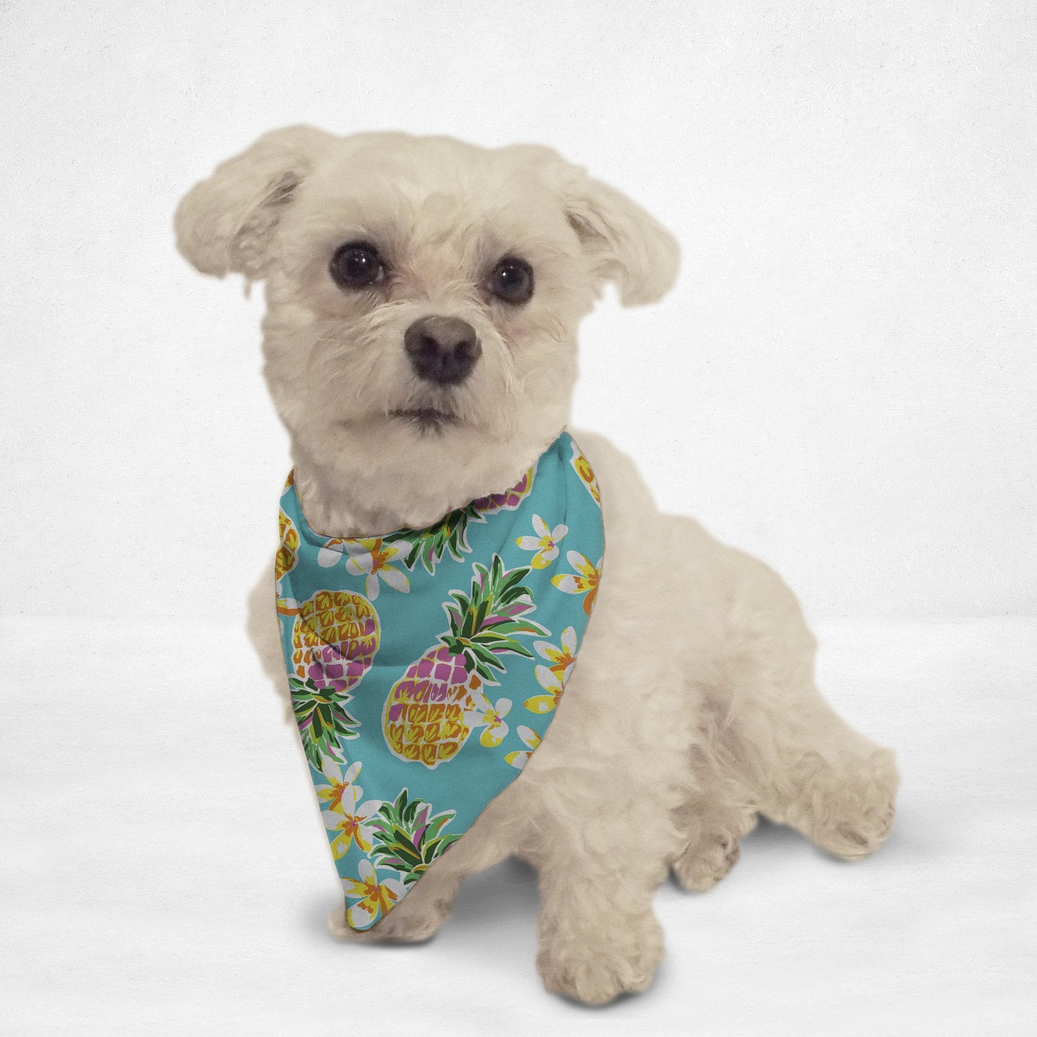 Pineapple dog bandana hotsell